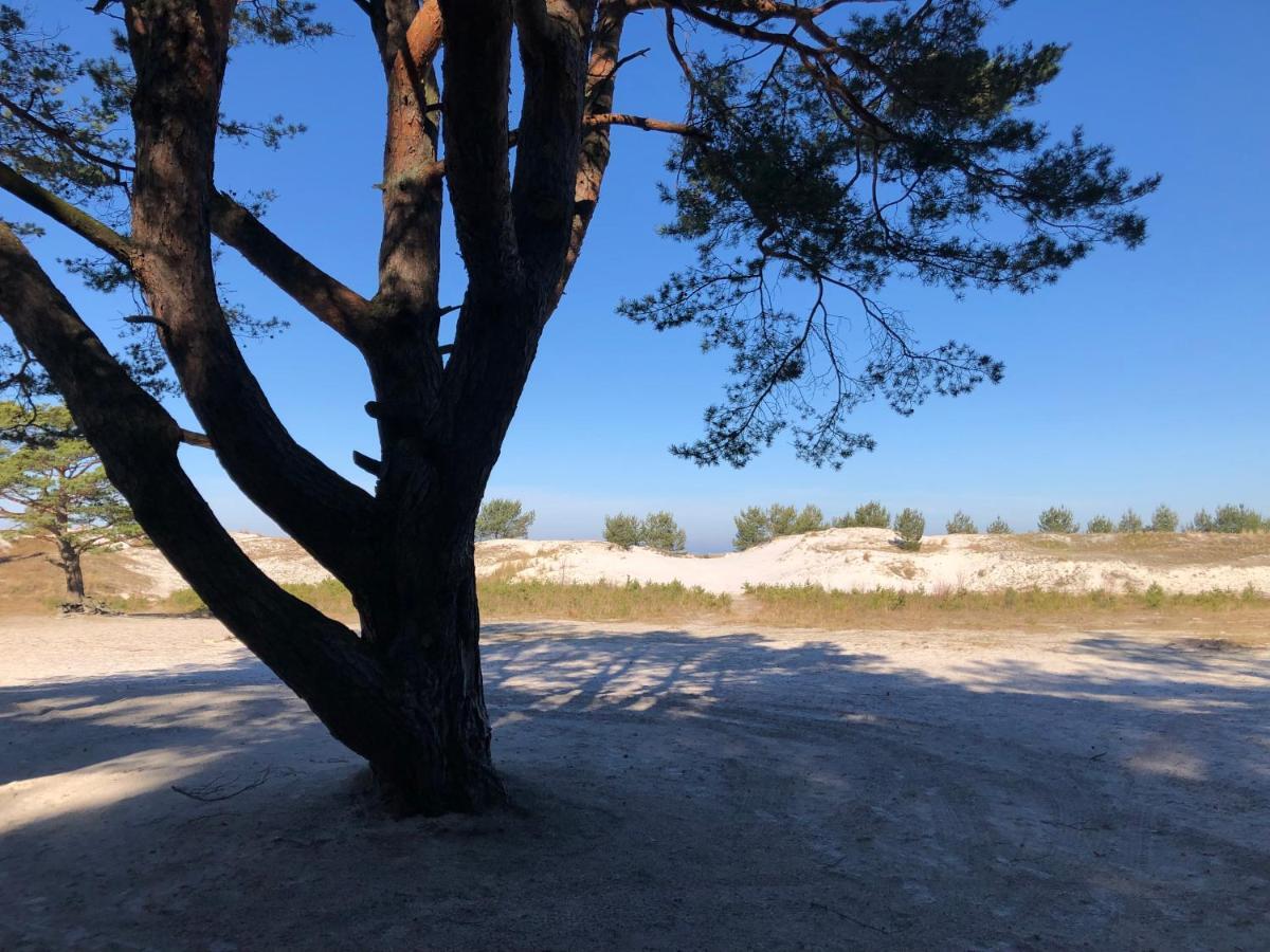 Prerow „Seaside“-Strandnah! エクステリア 写真